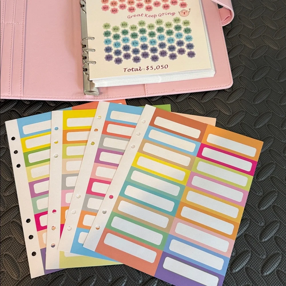 Pink Savings Challenge Envelope Organizer